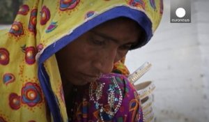 Inde : la vie sauvage du Petit Rann de Kutch