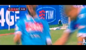 Fiorentina vs Napoli 1-3 All Goals & Highlights - Coppa Italia - 03/05/2014 HD