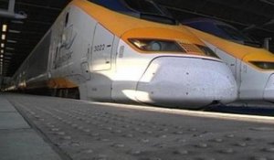 Un Eurostar bloqué 3 heures près de Lille après une collision avec un animal - 08/05