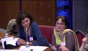 M. Pascal Revault (COMEDE), de Mme Caroline Izambert (ACT’UP Paris), de Mme Delphine Fanget (Médecins du Monde), et de Mme Laura Petersell (CIMADE) - Jeudi 22 Mai 2014