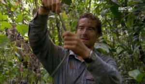 Man vs Wild : Bear Grylls mange un serpent