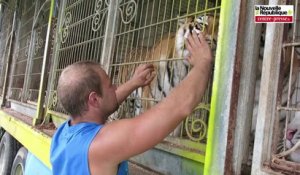 VIDEO. Châtellerault : des animaux choyés à la Piste d'or
