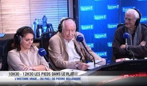 Histoire Pierre Bellemare - Pelorus Jack