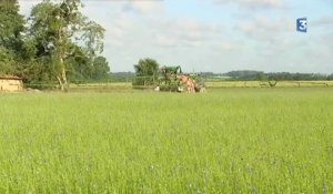 Rouen : les agriculteurs manifestent pour le droit d'épandre