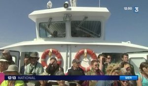 Un sanctuaire marin pour les dauphins et les baleines en Méditerranée