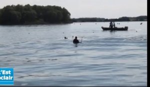 Les équipes cynophiles de la gendarmerie s'entraîent sur le lac d'Armance