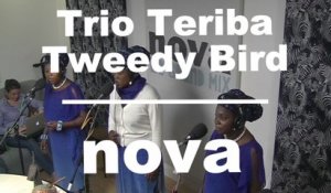 Live Néo Géo :  Trio Teriba - Tweedy Bird