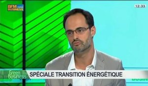 Spécial Transition énergétique: Sabine Buis, Nicolas Garnier, Guy Auger, Daniel Bour et Arnaud Gossement, dans Green Business - 29/06 3/4