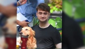 Quelle vie de chien pour Daniel Radcliffe pendant le tournage de son nouveau film