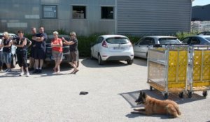 Les facteurs d'Epernay formation de prévention canine