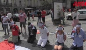 Manifestation de soutien au peuple palestinien samedi après-midi à Rennes