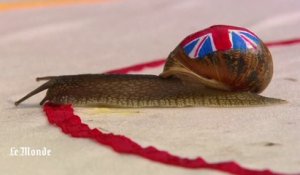 Découverte du championnat du monde de course d'escargot