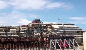 Des dauphins sur la route du Costa Concordia