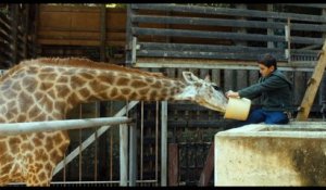 Bande-annonce : Girafada - Extrait VOST