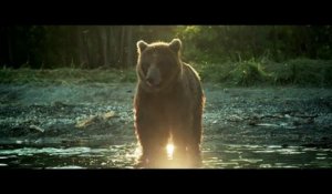 Terre des Ours - Clip Musical VF