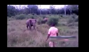 Comment arrêter un éléphant qui charge ?