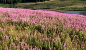 Pourquoi chercher plus loin-La traversée du Jura 4