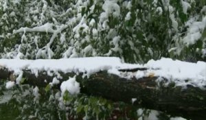 Tempête de neige en été à Calgary au Canada