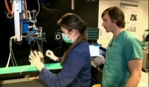 Le labo où les chercheurs font marcher des rats paralysés