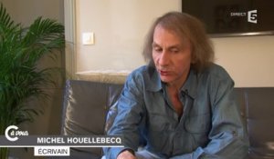Frédéric Beigbeder vu par Michel Houellebecq - C à vous - 11/09/2014