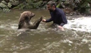 Un homme joue avec un ours brun sauvage