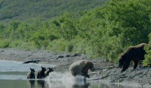 Terre des ours - Bande-annonce