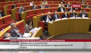 Le tournant énergétique allemand : quels enseignements pour la transition énergétique française ? - Audition