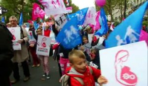 La "Manif pour tous" de nouveau dans la rue à Paris et Bordeaux