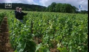 Le viticulteur Hubert de Montille est décédé