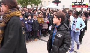 VIDEO. Poitiers : cérémonies du 11 Novembre