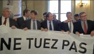 "Ne tuez pas l'Alsace": les UMP alsaciens manifestent à l'Assemblée