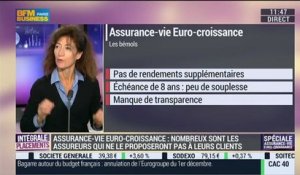 Edition spéciale Euro-croissance: Philippe Crevel, Christian Fontaine, Laurence Delain et Gilles Petit - 24/11