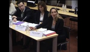 Audition de membres du cabinet réforme de l'Etat - Mercredi 26 Novembre 2014