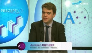 Aurélien Duthoit, Xerfi Canal Taxer les services sur Internet : le casse-tête