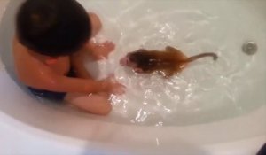 Un petit garçon prend un bain avec un bébé macaque