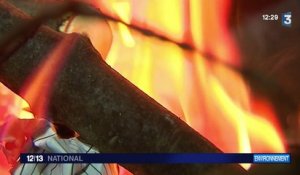 Ségolène Royal s'oppose à l'interdiction des feux de cheminée en région parisienne