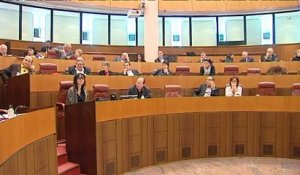 L'Assemblée de Corse adopte un projet de réforme pour une collectivité unique