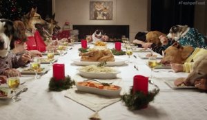 13 chiens et 1 chat font un repas de Noël