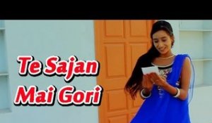 Bewafaai Full Song | Te Sajan Mai Gori | Rajasthani New Film Song 2014 | HD Video 1080p