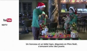 zapping insolite Noël