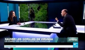 RD Congo : enquête au cœur du parc des Virunga