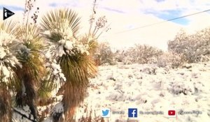 Le désert de l'Arizona couvert d'un épais manteau de neige