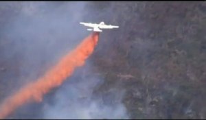 Australie : les pompiers sur le pied de guerre contre les feux de forêt