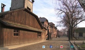 Auschwitz : un soldat polonais raconte