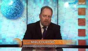 Alexandre Mirlicourtois, Xerfi Canal Pays émergents : rien ne va plus