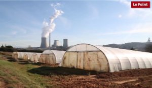 Centrale biomasse de Gardanne : Les menaces pour l'environnement