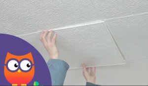 Comment changer une dalle de faux plafond (Ooreka.fr)