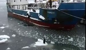 Sauvetage en vidéo d'un chien perdu au milieu de l'océan glacé