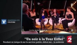 Zapping TV: quand une ancienne Miss France mange... de la nourriture pour chiens