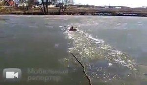 Il saute dans un lac gelé pour y sauver un animal